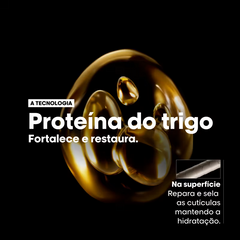L'Oréal Professionnel Serie Expert Absolut Repair Omega-9 + Protein - Condicionador 1,5L