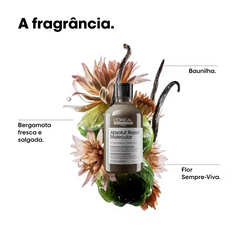 L'Oréal Professionnel Absolut Repair Molecular - Shampoo 300ml