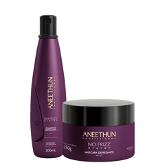 Kit Aneethun No Frizz Shampoo e Máscara Defrizante